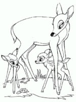 Bambi-16