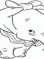 Dumbo-16