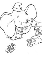 Dumbo-19