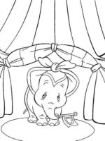 Dumbo-20