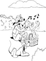 Goofy-16