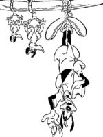 Goofy-19