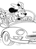 Minnie-15
