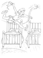 Peter Pan-24