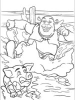 Shrek-17