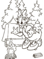 Daisy-10