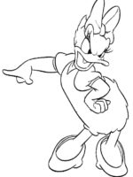 Daisy-12