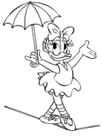 Daisy-14