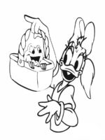 Daisy-19
