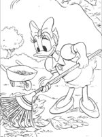 Daisy-3