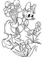 Daisy-4