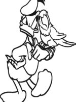Donald-18