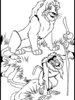 König der löwen -12