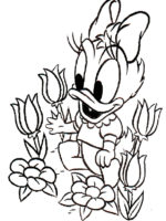 Disney Baby-4