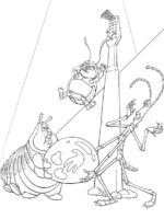 Das grosse krabbeln-8