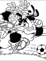 Fußball -3