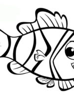 Nemo und Dory-11