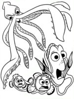 Nemo und Dory-15