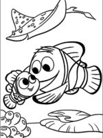 Nemo und Dory -16