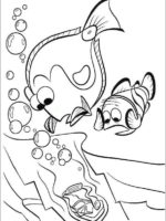 Nemo und Dory-9