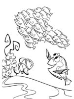Nemo und Dory-22