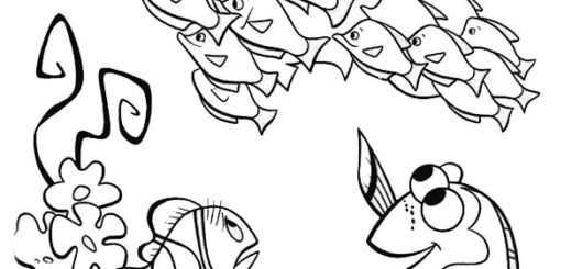 nemo und dory-22