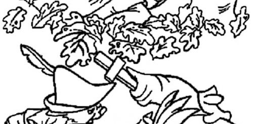 ausmalbilder disney robin hood-10